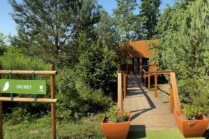 lodge3